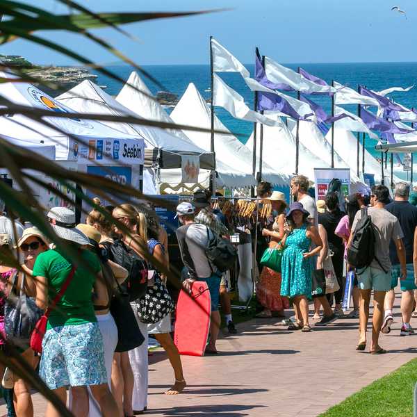 Annual Ocean Lovers Festival celebrates Ocean Treasure