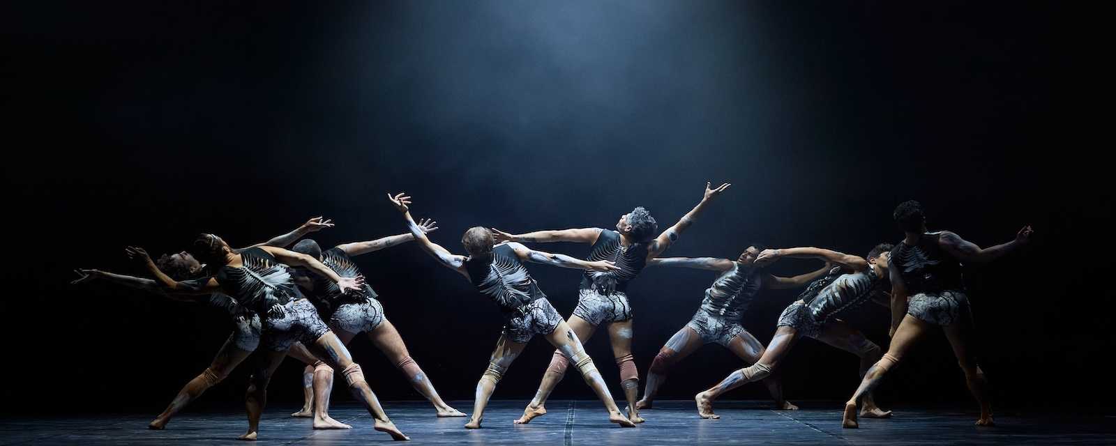 Review: Bangarra Dance – Sheltering