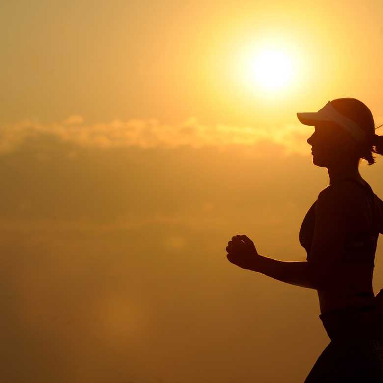 The Science behind diet and exercise