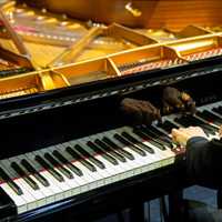 Review: Paul Lewis – Mozart+