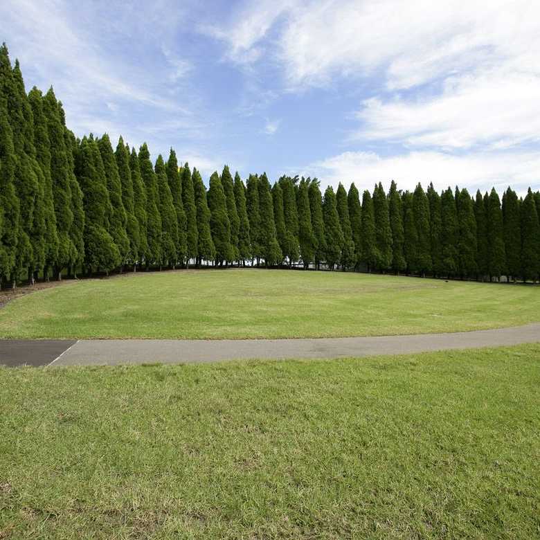 Green Infrastructure Equals Cool Towns