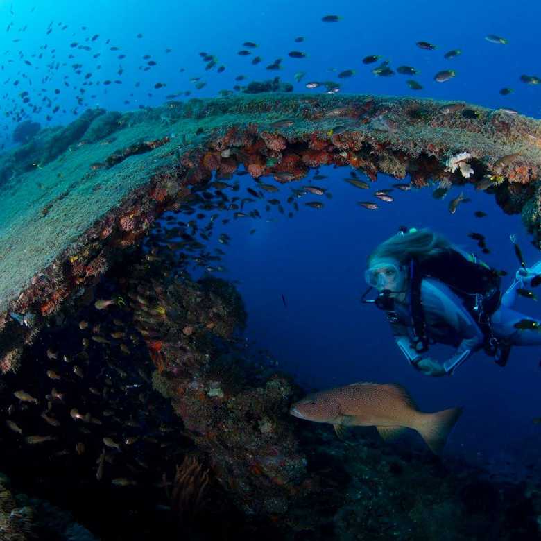 What does a maritime archeologist do?