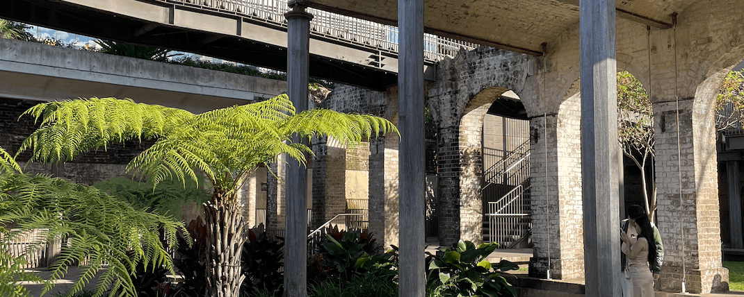 Secret Garden In Paddington Reservoir