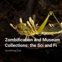 Zombification and Museum Collections: the Sci and Fi
