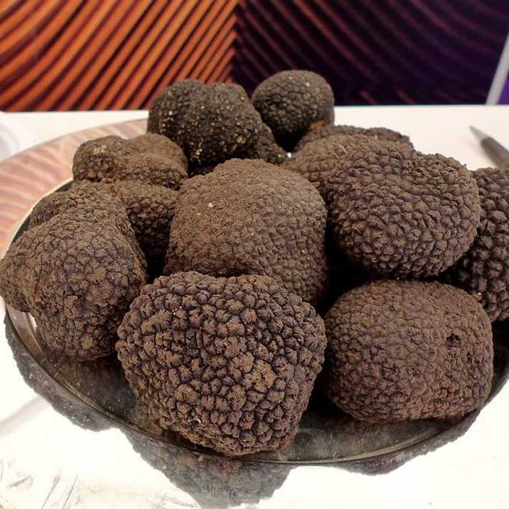 The story of a Truffle farm with Barbara Hill