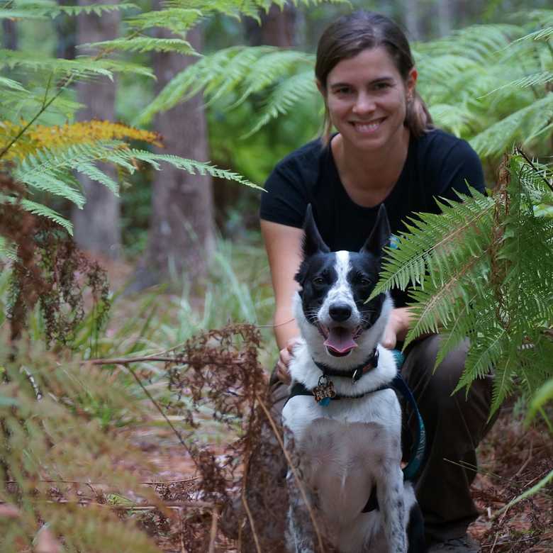 Sniffer Dogs for Koala Conservation