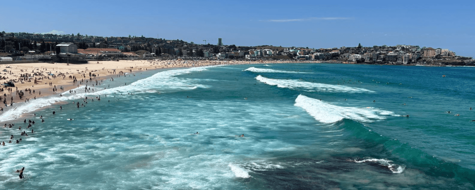 Review: Bondi to Coogee walk, puppy yoga and Tropfest