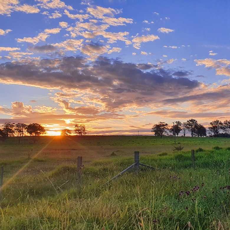 A Biodiversity Stewardship Policy For Farmers