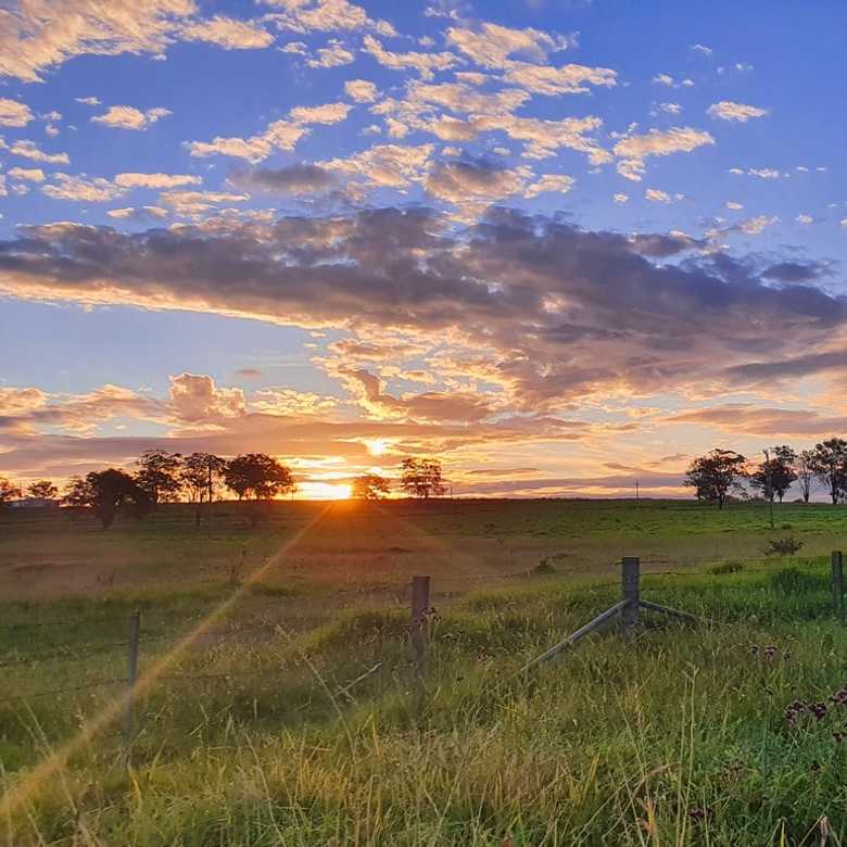 A Biodiversity Stewardship Policy For Farmers