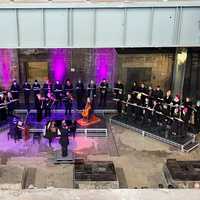 Review. Lost Birds at White Bay Power Station