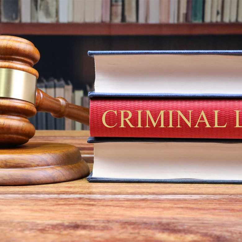 The History of Criminal Law with Arlie Loughnan