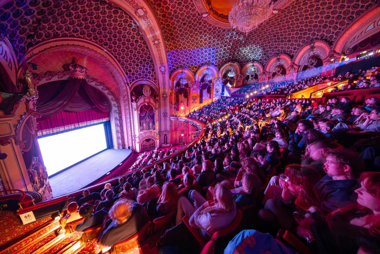 Film Festival Fever: Discover SFF and other Film Festivals
