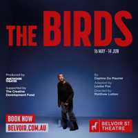 The Birds at the Belvoir