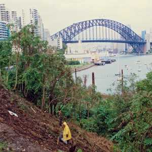 The Sydneyist