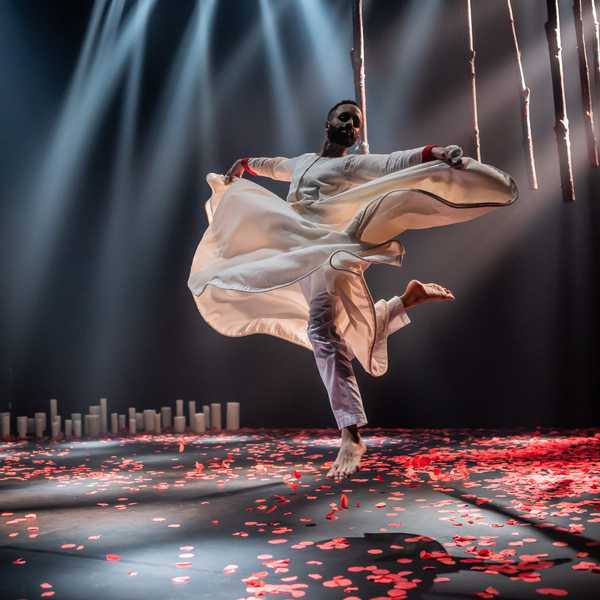 Review: Songs of the Bulbul