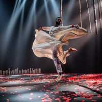 Review: Songs of the Bulbul