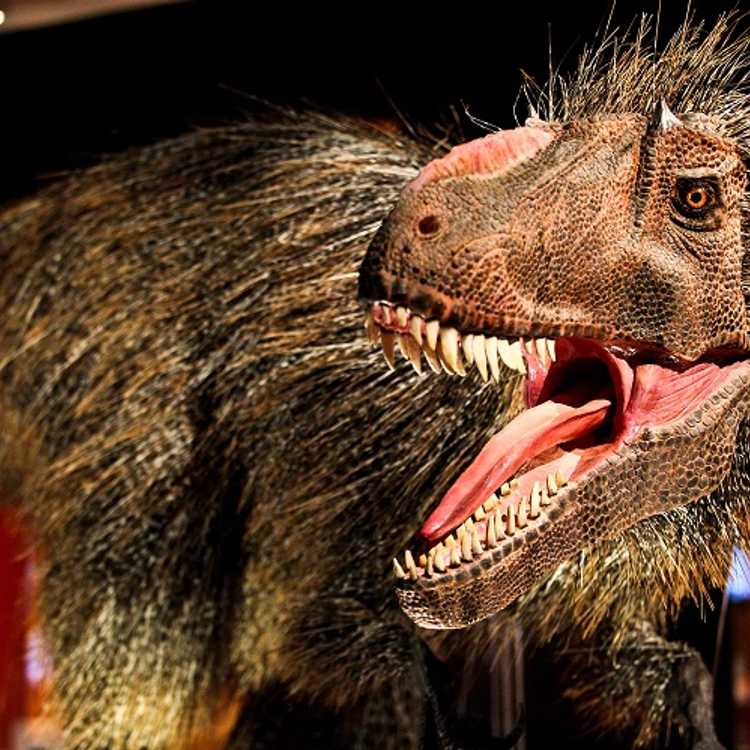 How dinosaurs were first discovered