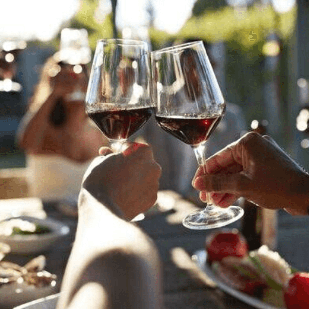 Professor Nicole Lee – Benefits of Moderate Alcohol Intake
