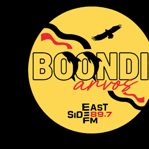 Boondi Arvos