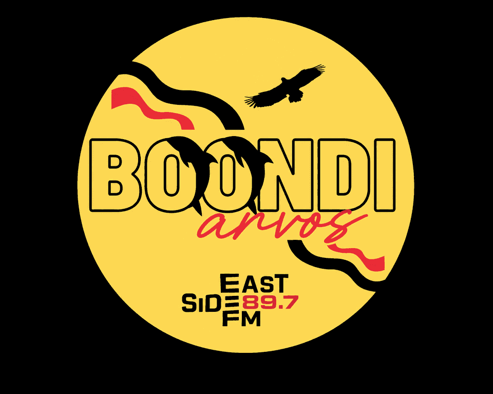 Boondi Arvos