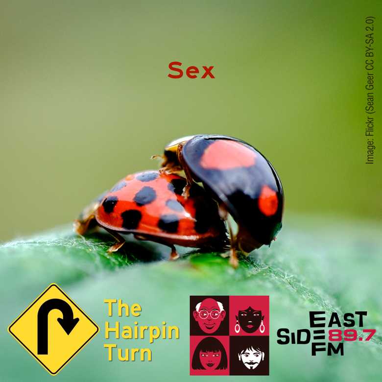 The Hairpin Turn: Sex