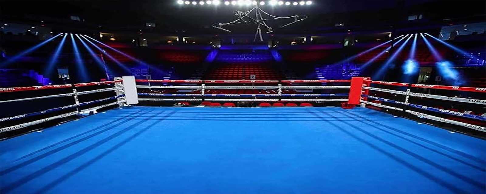 Review: Shadow Boxing