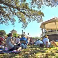 Sydney Poetry Picnic 2026