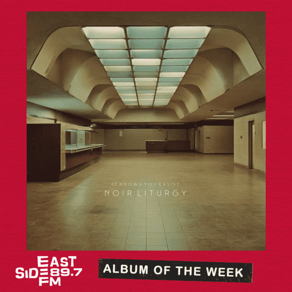 Albums of the Week: It Knows You Exist – Noir Liturgy // The VizzTone Sessions – Dani Wilde