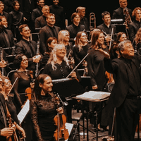 Review: Lord of the Rings: The Fellowship of the Ring – In Concert